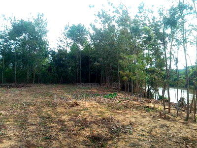 Sagana 3 Acres of Land Touching the River Tana - Image 4