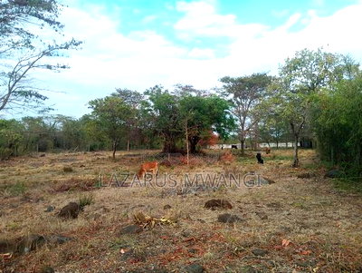 Sagana 3 Acres of Land Touching the River Tana - Image 10