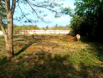 Sagana 3 Acres of Land Touching the River Tana - Image 11