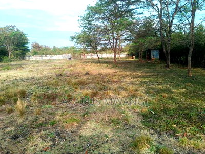 Sagana 3 Acres of Land Touching the River Tana - Image 9