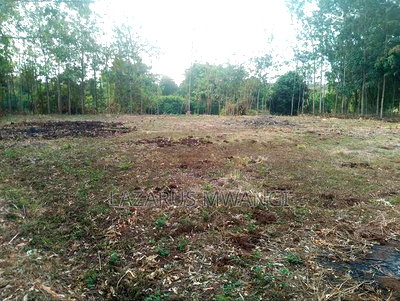 Sagana 3 Acres of Land Touching the River Tana - Image 7