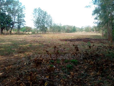 Sagana 3 Acres of Land Touching the River Tana - Image 6