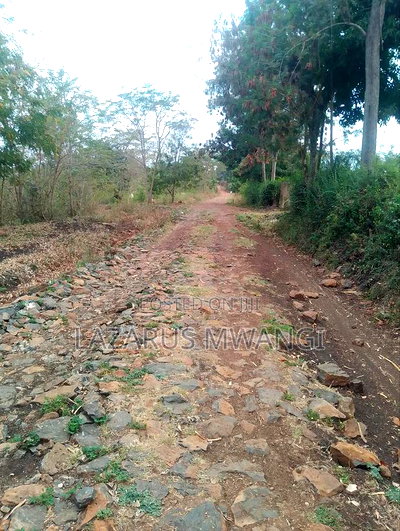 Sagana 3 Acres of Land Touching the River Tana - Image 17