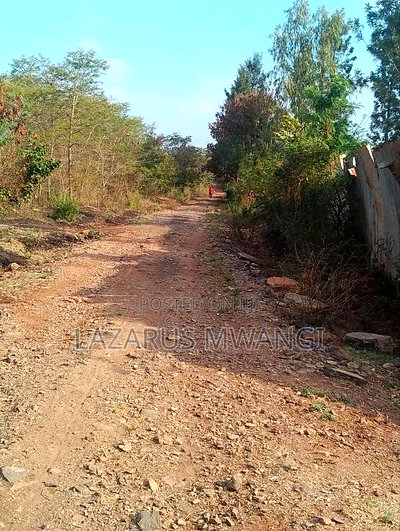 Sagana 3 Acres of Land Touching the River Tana - Image 13