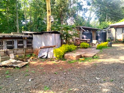 1/2 + Bedrooms Acre Land for in Ngong Kibiko - Image 5