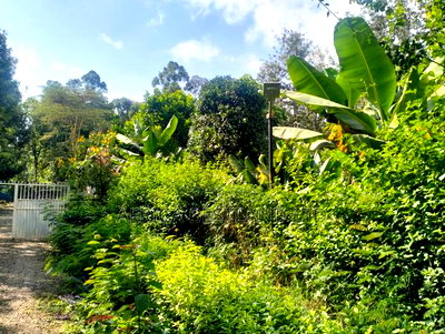 1/2 + Bedrooms Acre Land for in Ngong Kibiko - Image 7