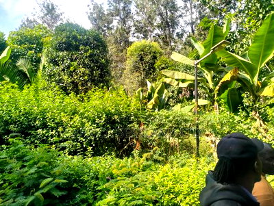 1/2 + Bedrooms Acre Land for in Ngong Kibiko - Image 6