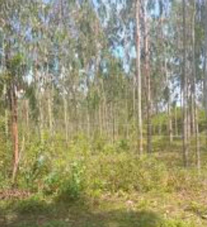 1 Acre Plot for KSh 1.5M