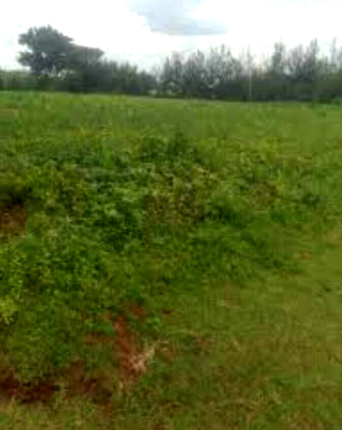 1 Acre Plot for KSh 1.5M