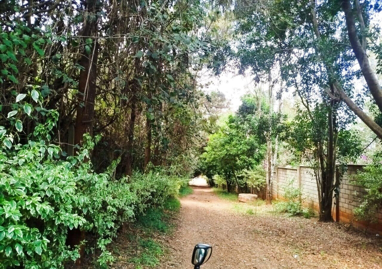 1 Acre Commercial Plot with Garden