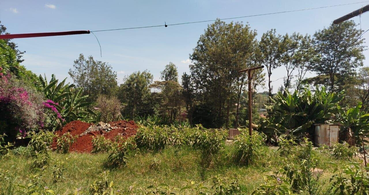 1 Acre Commercial Plot with Garden