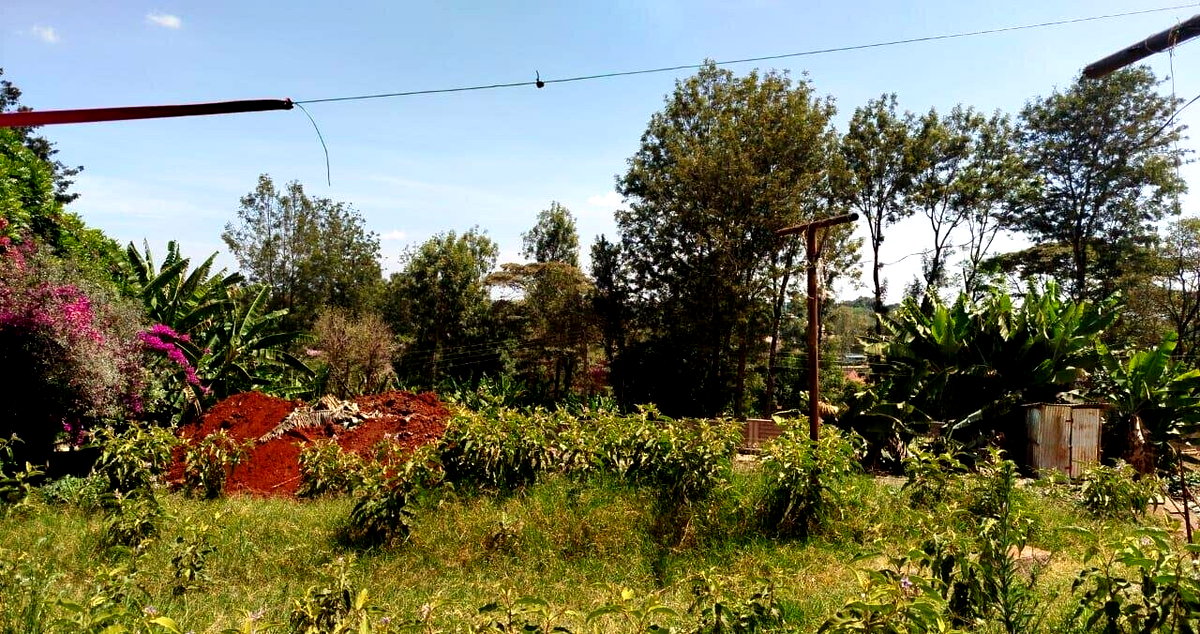 1 Acre Commercial Plot with Garden