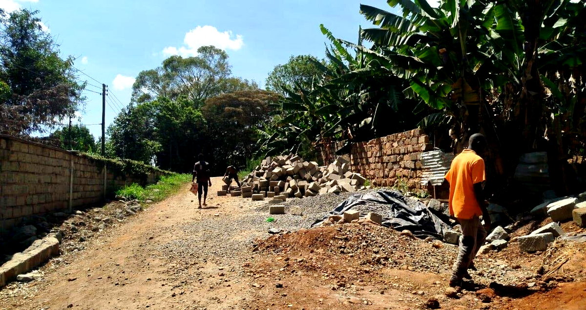 1 Acre Commercial Plot with Garden