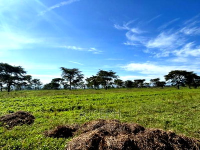 Moi Ndabibi 50 Acre - Image 6