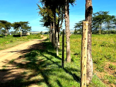 Moi Ndabibi 50 Acre - Image 3