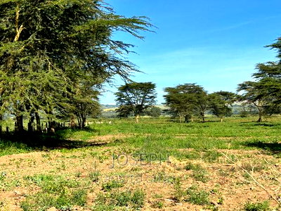 Moi Ndabibi 50 Acre - Image 12