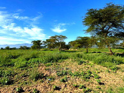 Moi Ndabibi 50 Acre - Image 11