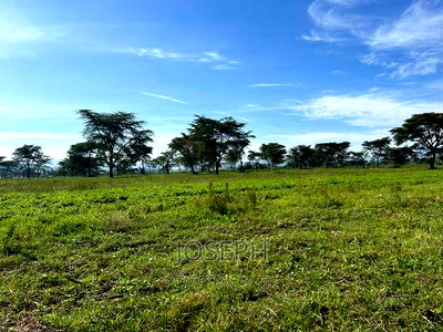 Moi Ndabibi 50 Acre - Image 10