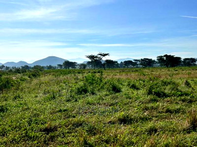 Moi Ndabibi 50 Acre - Image 4