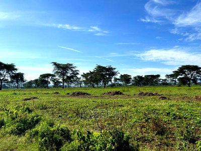 Moi Ndabibi 50 Acre - Image 5