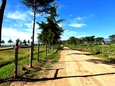 Moi Ndabibi 50 Acre - Image 1