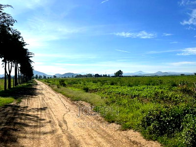 Moi Ndabibi 50 Acre - Image 8