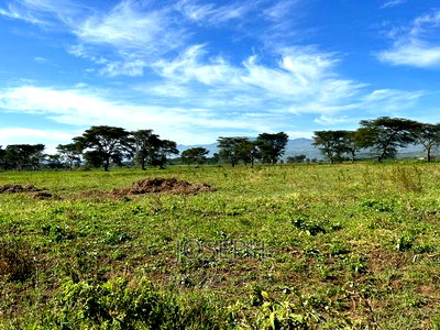 Moi Ndabibi 50 Acre - Image 9