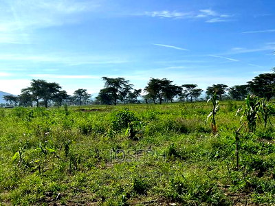 Moi Ndabibi 50 Acre - Image 7