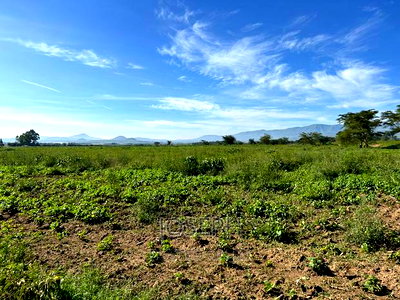 Moi Ndabibi 50 Acre - Image 2