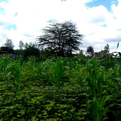 Ruai Plot for Sale - Image 4