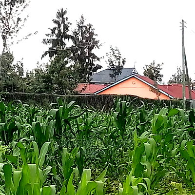 Ruai Plot for Sale - Image 2