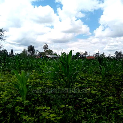 Ruai Plot for Sale - Image 3
