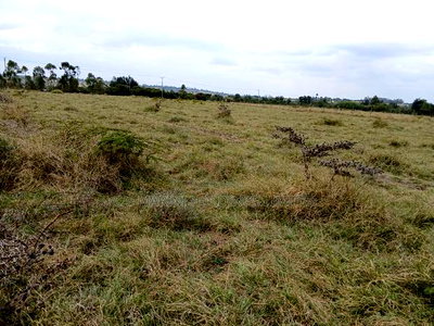 2 Prime Acres Selling Off Pipeline Road, Kiserian - Image 3