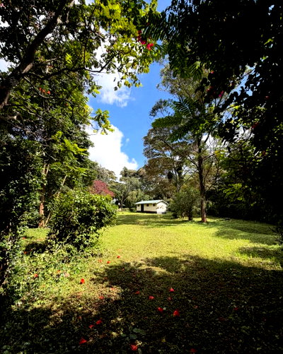 1.1-Acre Karen Plot at 90M