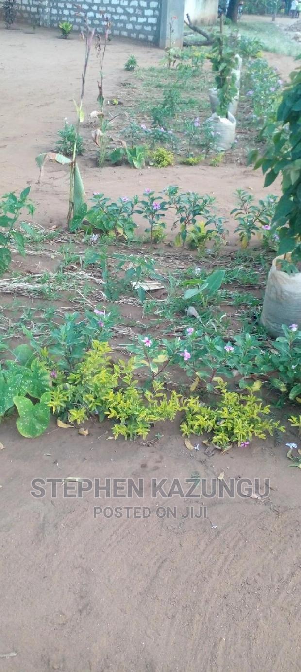 Business Site Shop for Rent, in Malindi at Musoloni Area.