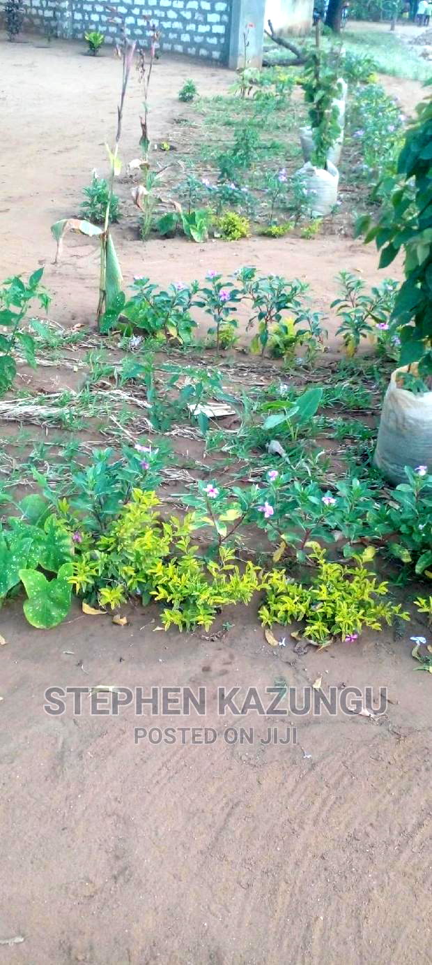 Business Site Shop for Rent, in Malindi at Musoloni Area.