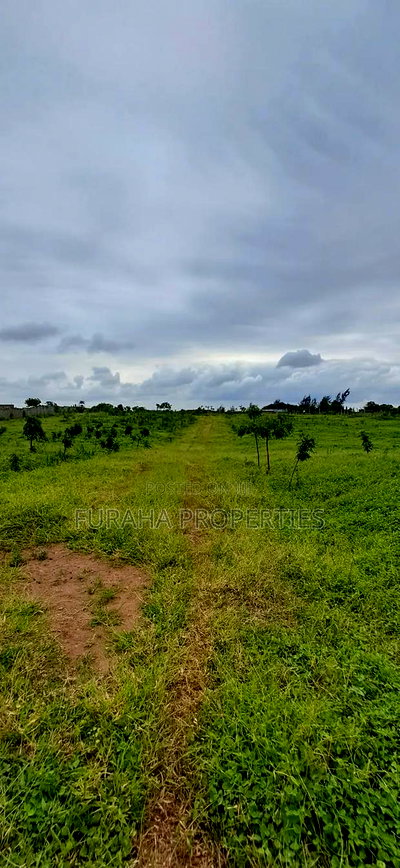 For Sale an Eighth Plot Kikambala - Image 7