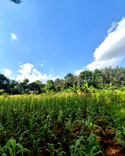 2.5-Acre Plot for KSh 170M