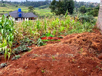 Residential Plot for Sale in Gitaru Along the Western Bypass - Image 3