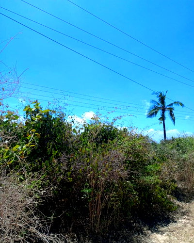 40-Acre Beachside Land in Malindi