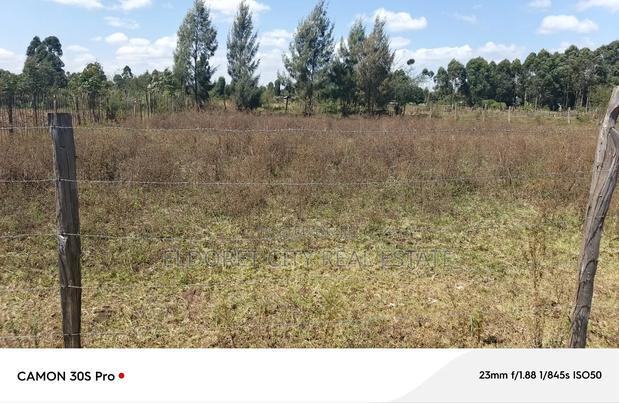 1/8 Kiplombe With Title.