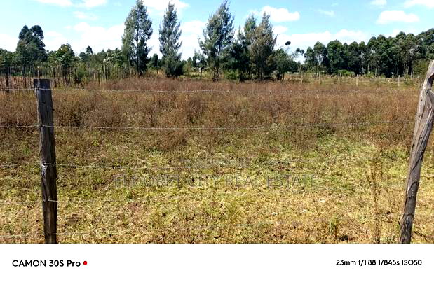 1/8 Kiplombe With Title.