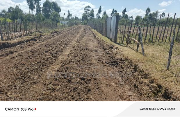 1/8 Kiplombe With Title.