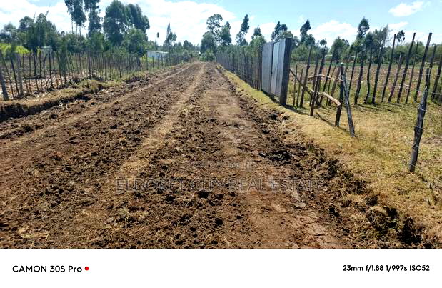 1/8 Kiplombe With Title.