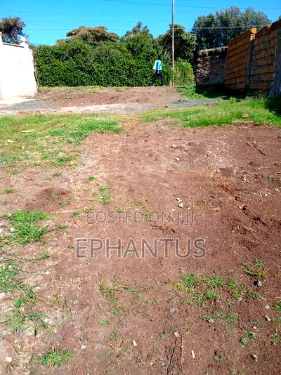 1/2 Acre Rongai at 14m - Image 2