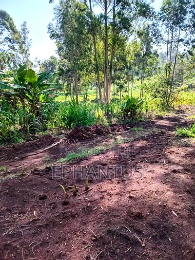 1/2 Acre Rongai at 14m - Image 3