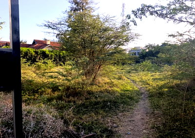 Quarter Acre Plot with Garden