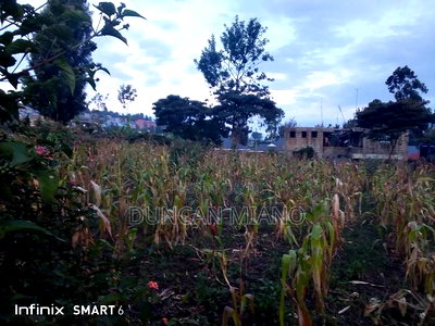 Land for Sale - Image 1