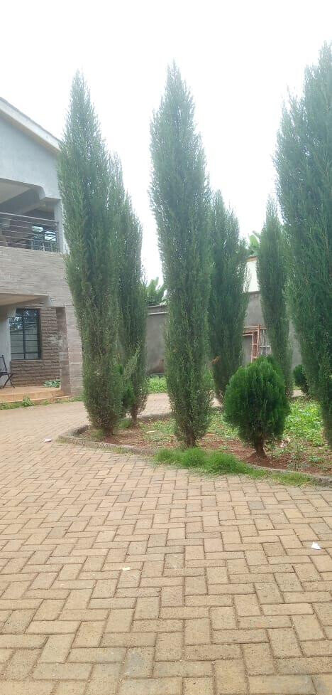4BR All-Ensuite Townhouse with Guest Bath & Cabro Parking – Ruaka
