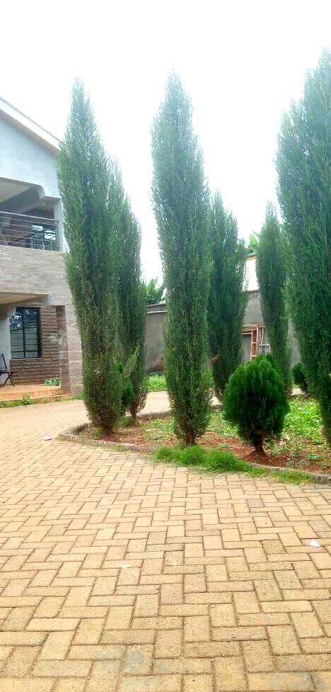 4BR All-Ensuite Townhouse with Guest Bath & Cabro Parking – Ruaka
